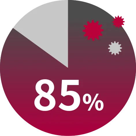 85％